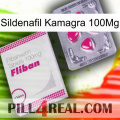 Sildenafil Kamagra 100Mg 32